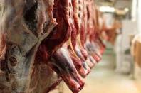 فروش گوشت قرمز، داخلی و خارجی، عمده و جزئی