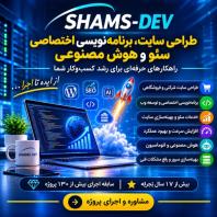 طراحی سایت حرفه‌ ای، برنامه‌ نویسی اختصاصی، سئو و هوش مصنوعی