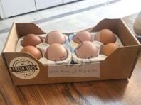 تولید و فروش کارتن تخم مرغ با کیفیت بالا، کارتن سازی کارنوپک