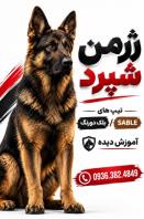 سگ ژرمن شپرد