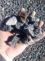 فروش پوکه معدنی قروه