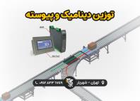 توزین دینامیک و پیوسته، شرکت رایان توزین