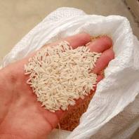 فروش برنج هاشمی درجه یک سورت شده دو الکه لنگرود و آستانه