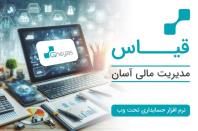 مشاوره و خدمات مالی به همراه نرم افزار های تخصصی مالی