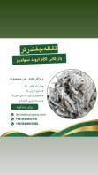 تفاله چغندر قند