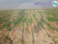 فروش نوار تیپ به قیمت اقتصادی