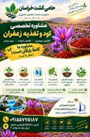 مشاوره تخصصی و تامین کود مزارع زعفران در خراسان