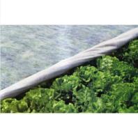 فوم های ضد سرما