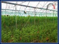 فروش گلخانه آماده با صادرات در منطقه آزاد ارس