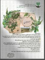 درختچه یادبود نامیرا